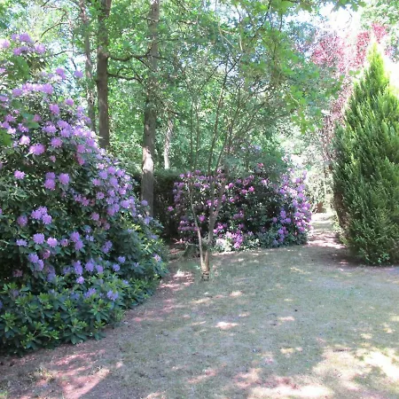 Rossis Haus * Schneverdingen